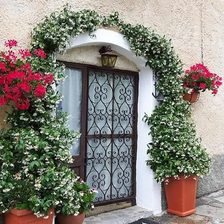 Olio Del Casale *